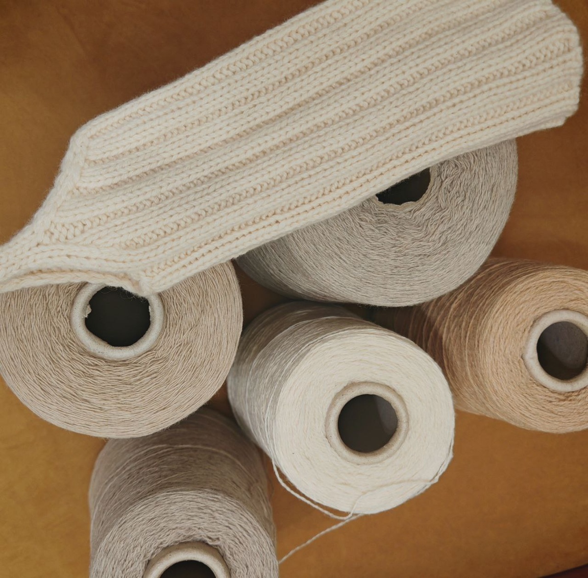 Выбираем цвет для будущего проекта. «Домашние» фотографии