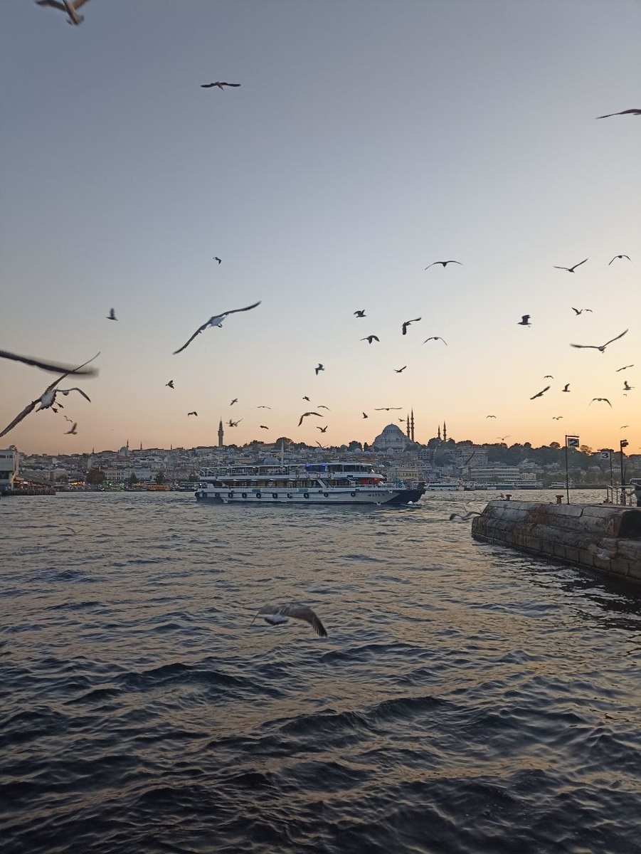 Паром на Принцивы Острова