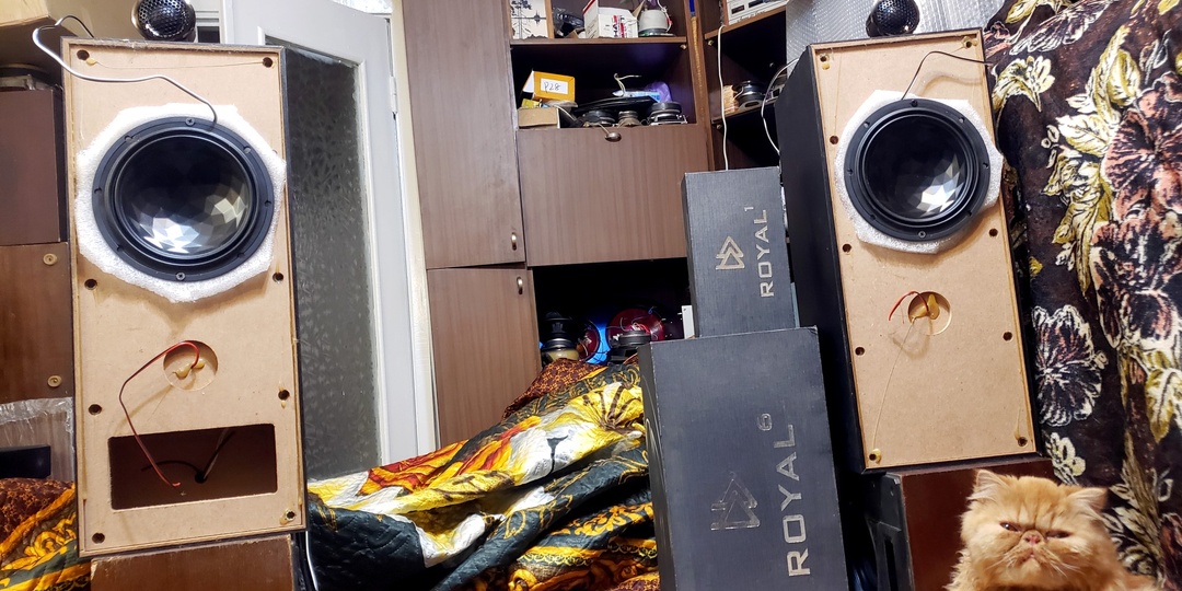 Best Balance Royal R1,R6 в домашних ас.