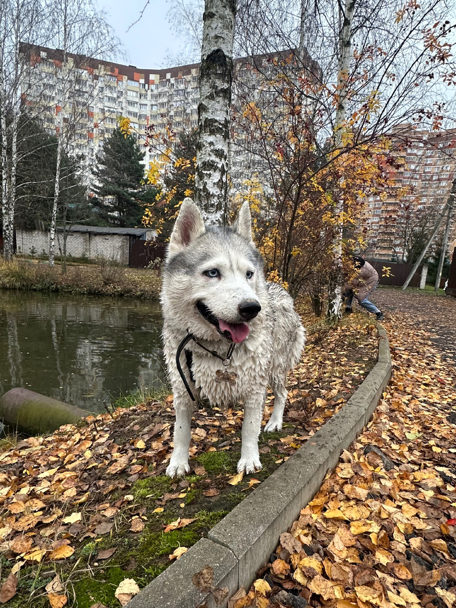 После заплыва) 