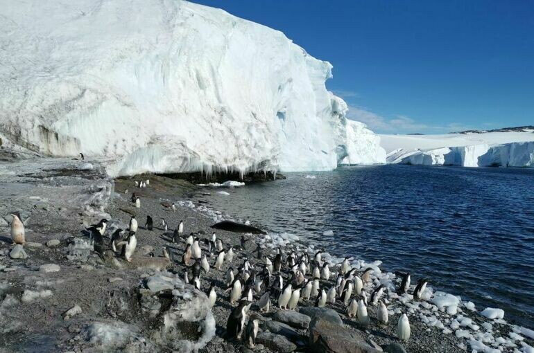   Никита Назаров/РИА Новости