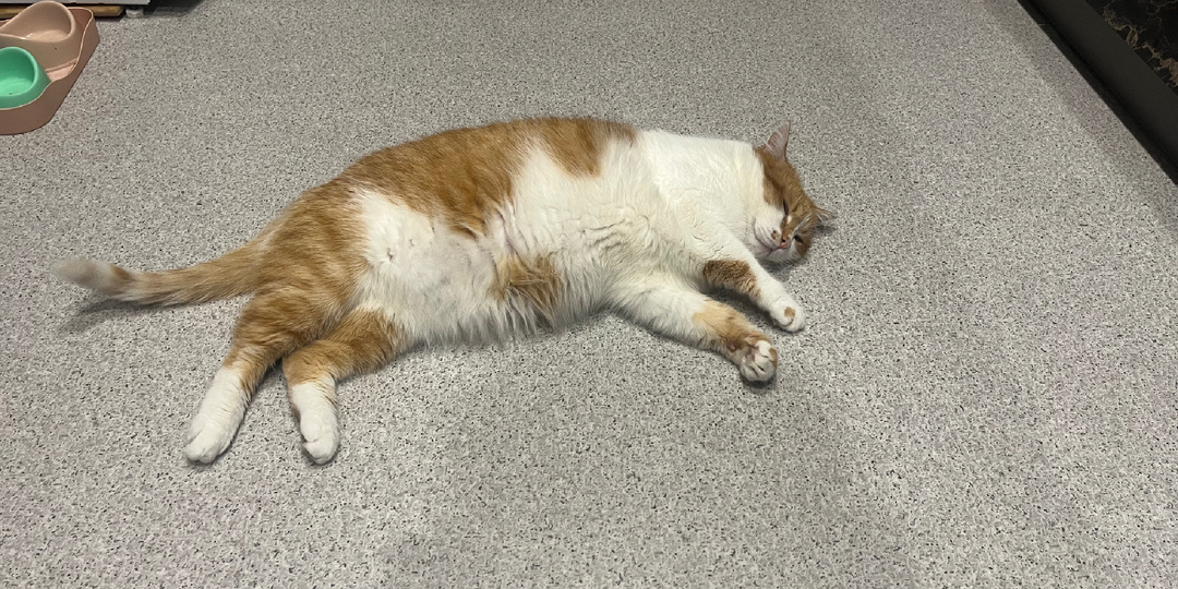 Здесь должен был быть заголовок