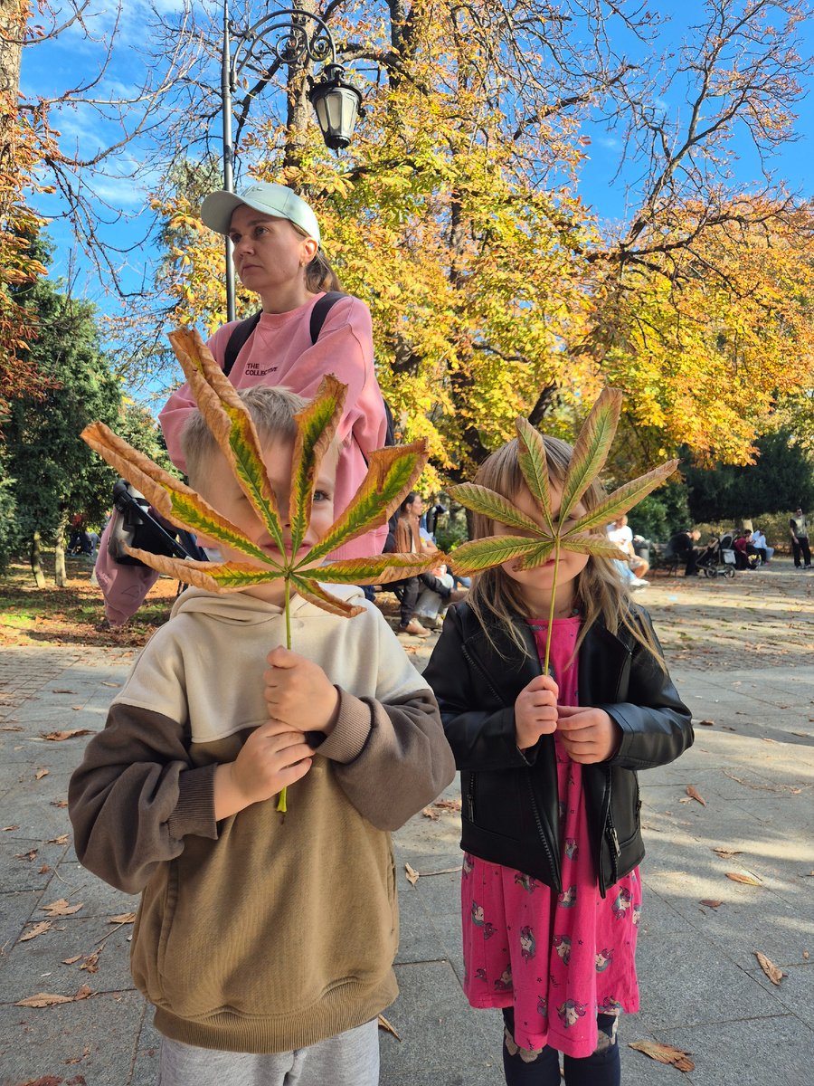 Начало ноября - золотая осень в Сербии