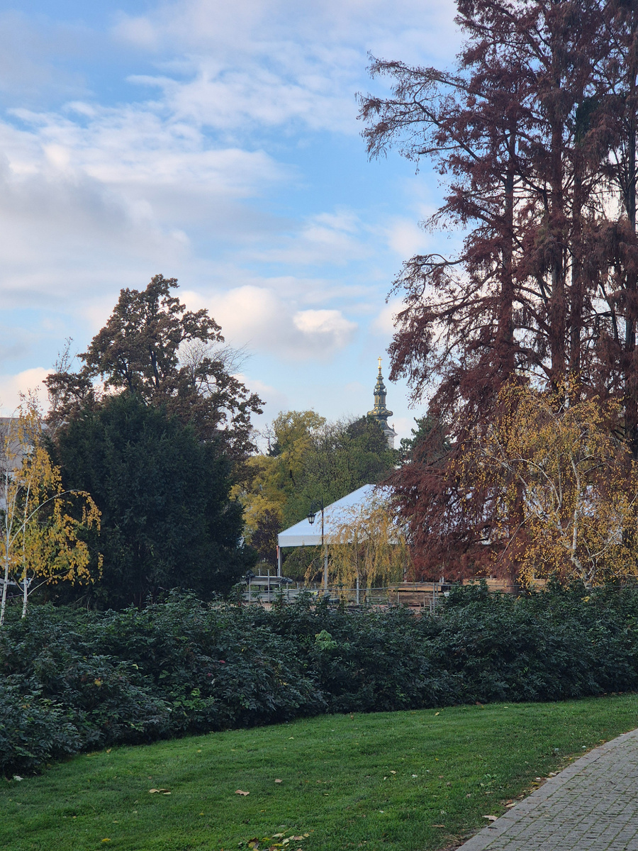 В середине ноября зелено, но уже гораздо прохладнее