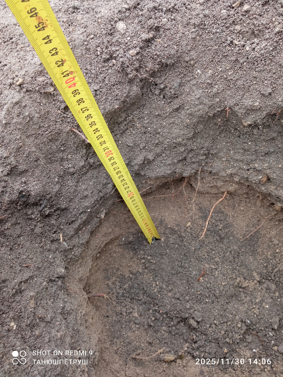 На фото земелька выглядит очень даже ничего. На самом деле она для роз не годится. Это я еще кучу камней из этой ямки не сфотографировала.