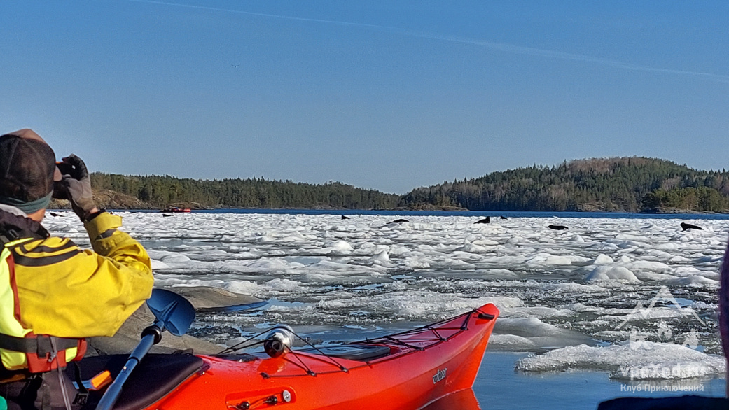 Автор фотографии: Марат