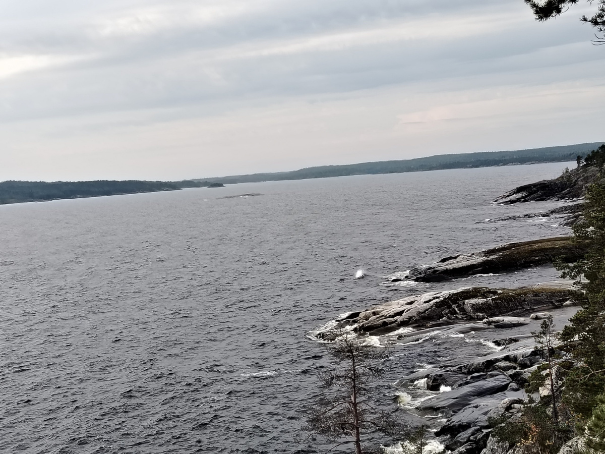 Таисия Логинова 