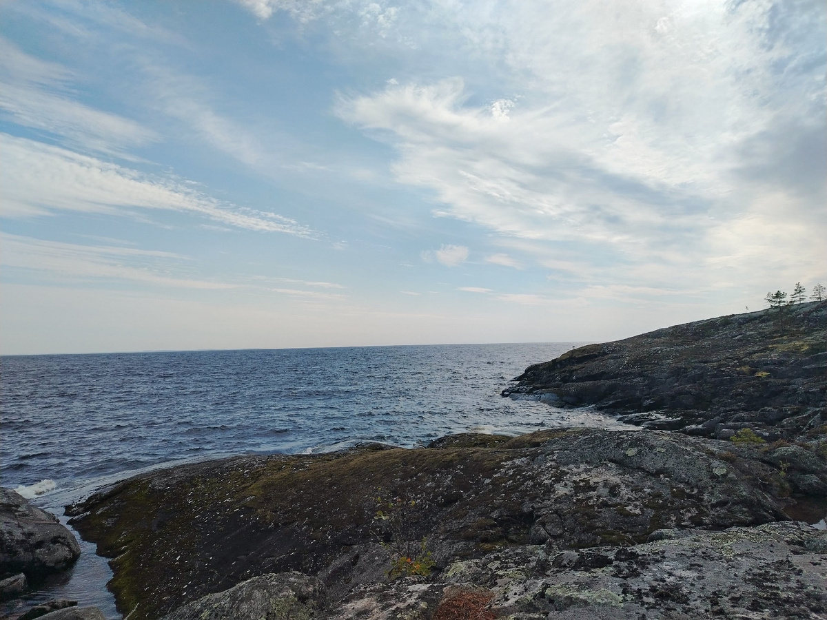 Таисия Логинова 