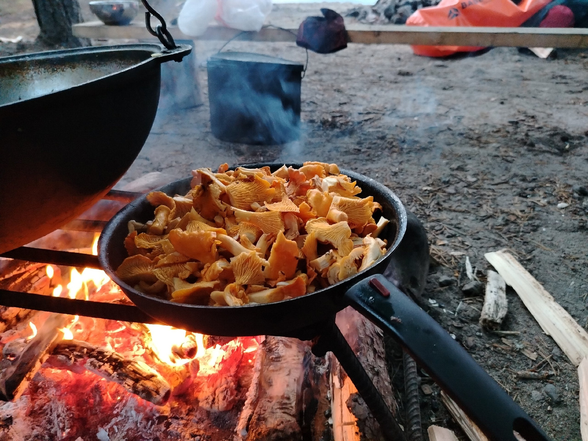 Таисия Логинова 