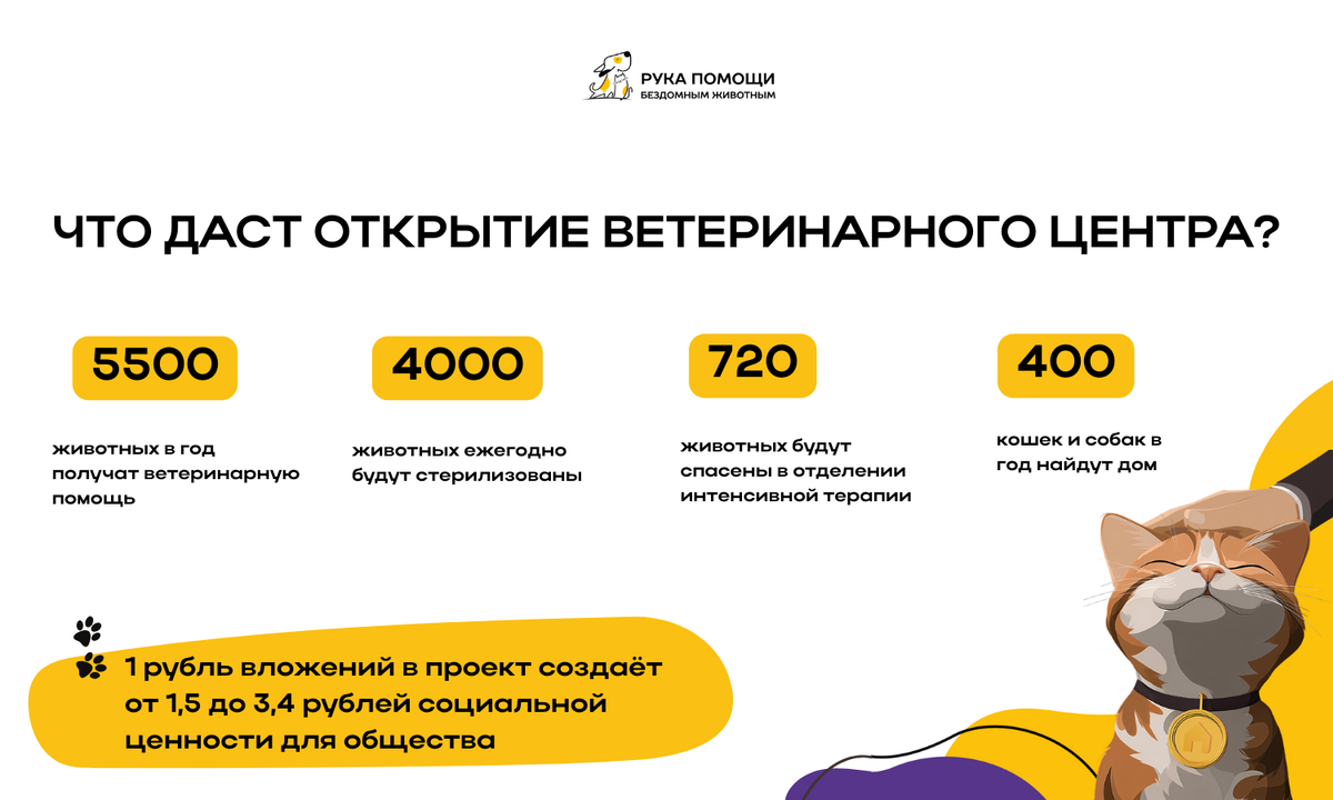 Фото: предоставлено фондом «Рука помощи бездомным животным»