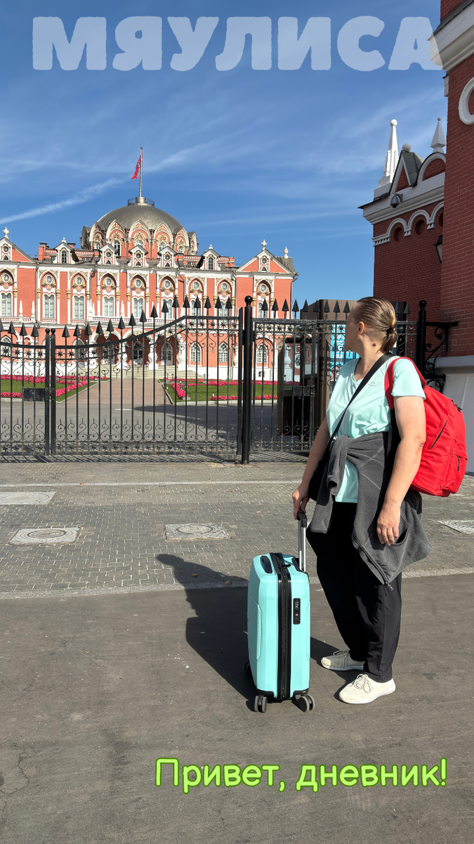Петровский Путевой дворец. Наши проекты: "Мяулиса", "Привет, дневник", "Время идей".