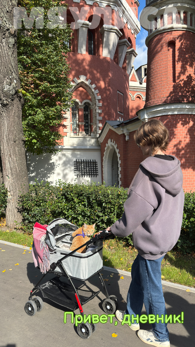 Василиса присматривает летнюю резеденцию 😂 Петровский Путевой дворец. Наши проекты: "Мяулиса", "Привет, дневник", "Время идей".