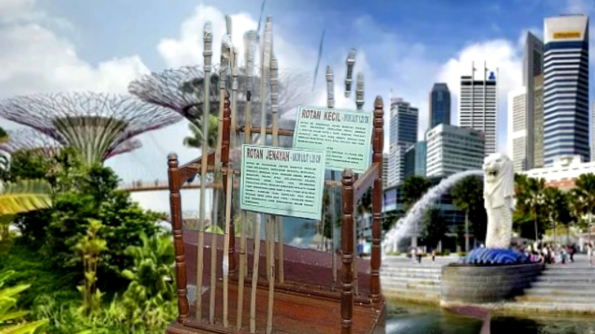 Ротановые розги Сингапура.