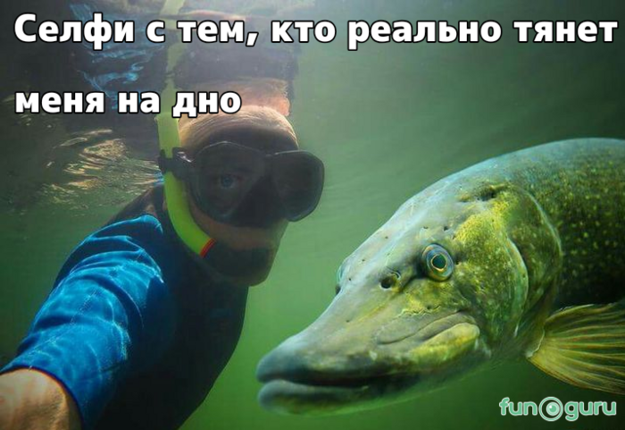 #рыбалка #дружба #друг #рыба #дно #жизненно #компания #селфи #тупой #мем