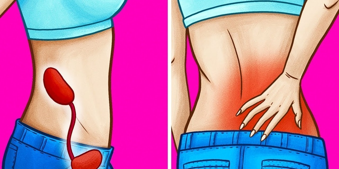 История: Я Терпел Боль В Спине, А Проблема Была В ПОЧКАХ