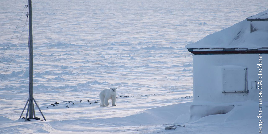 Почему полярники не выходят из дома без оглядки даже днем