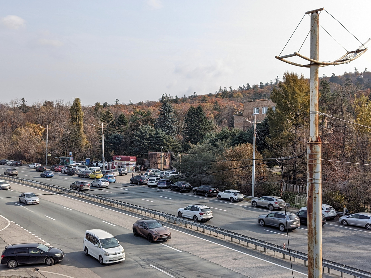 Скопление машин у входа в Ботанический сад в погожий день красноречиво показывает, что это место популярно. 