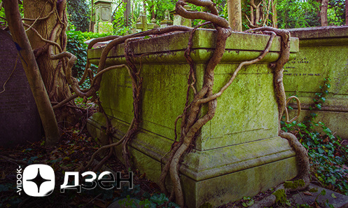 
Канал "VIDOK" на Youtube/Rutube