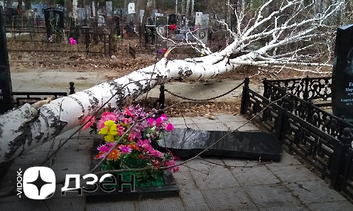 
Канал "VIDOK" на Youtube/Rutube