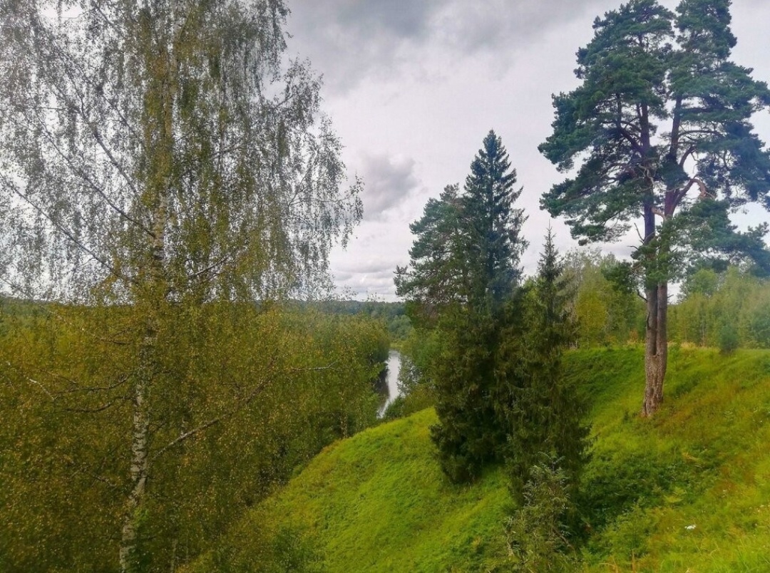 Яндекс карты.