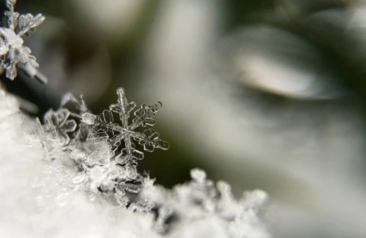    Холодно и небольшой снег: какая погода будет в Хабаровском крае 1 декабря