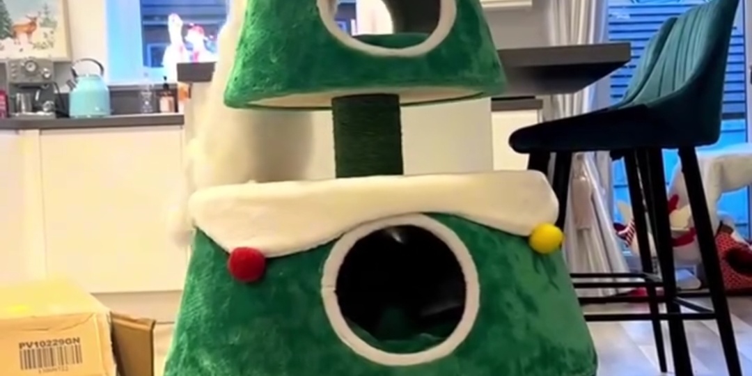 Новогодняя сказка для пушистых друзей: особая ёлка для кошек всего за 19 тысяч!