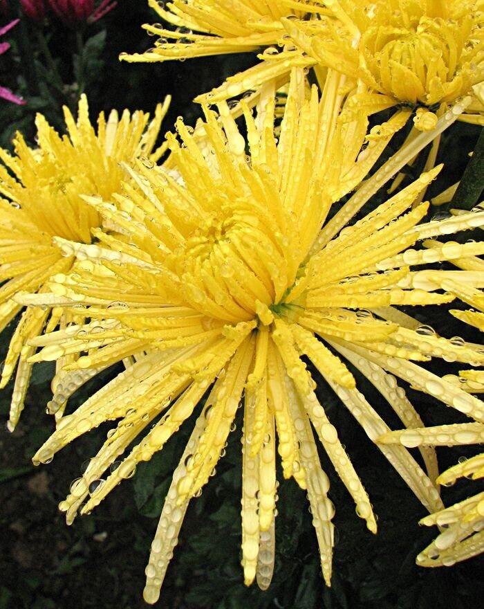 Фото из открытого источника Яндекс 