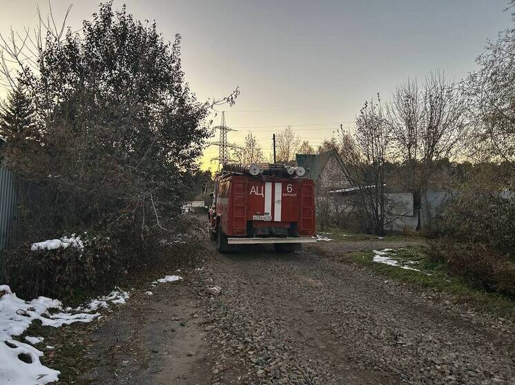     Фото иллюстративное. Источник: МК на Алтае/Оксана Исакова