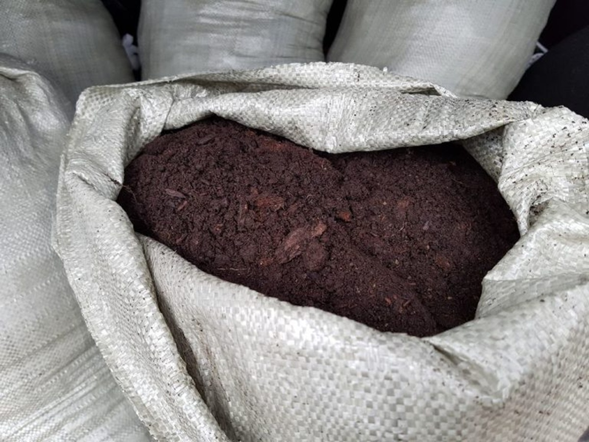 Фото: пресс-служба Уральского межрегионального управления Россельхознадзора  📷
