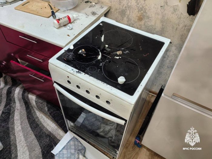 Фото пресс-службы МЧС по Новосибирской области