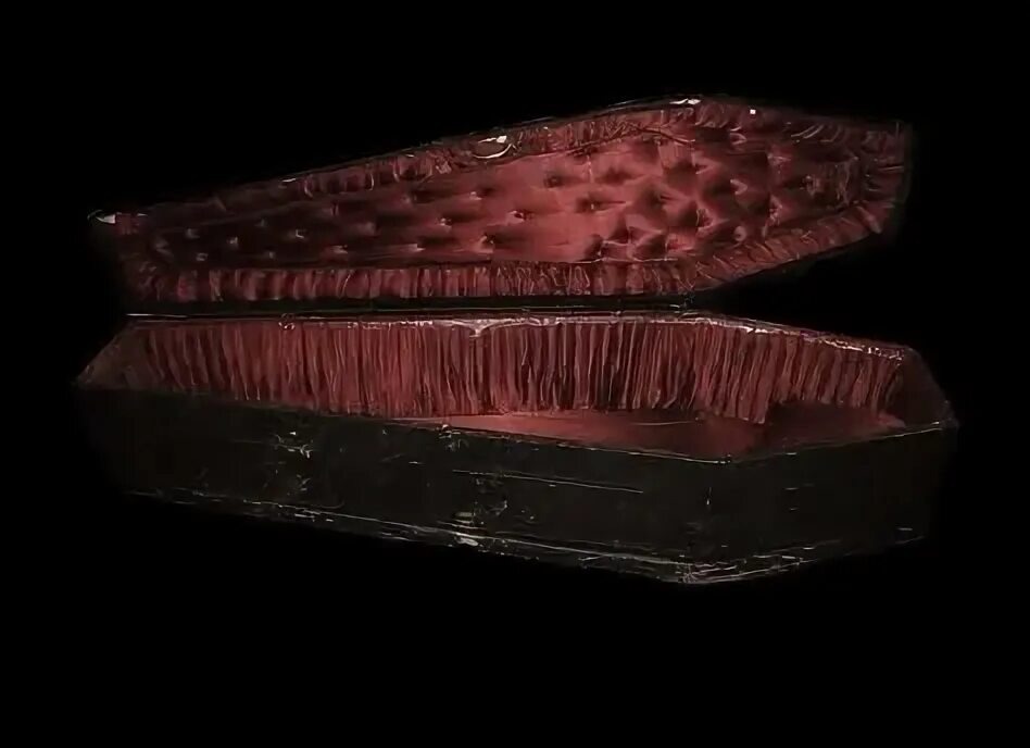 Изображение взято из открытых источников интернета. 