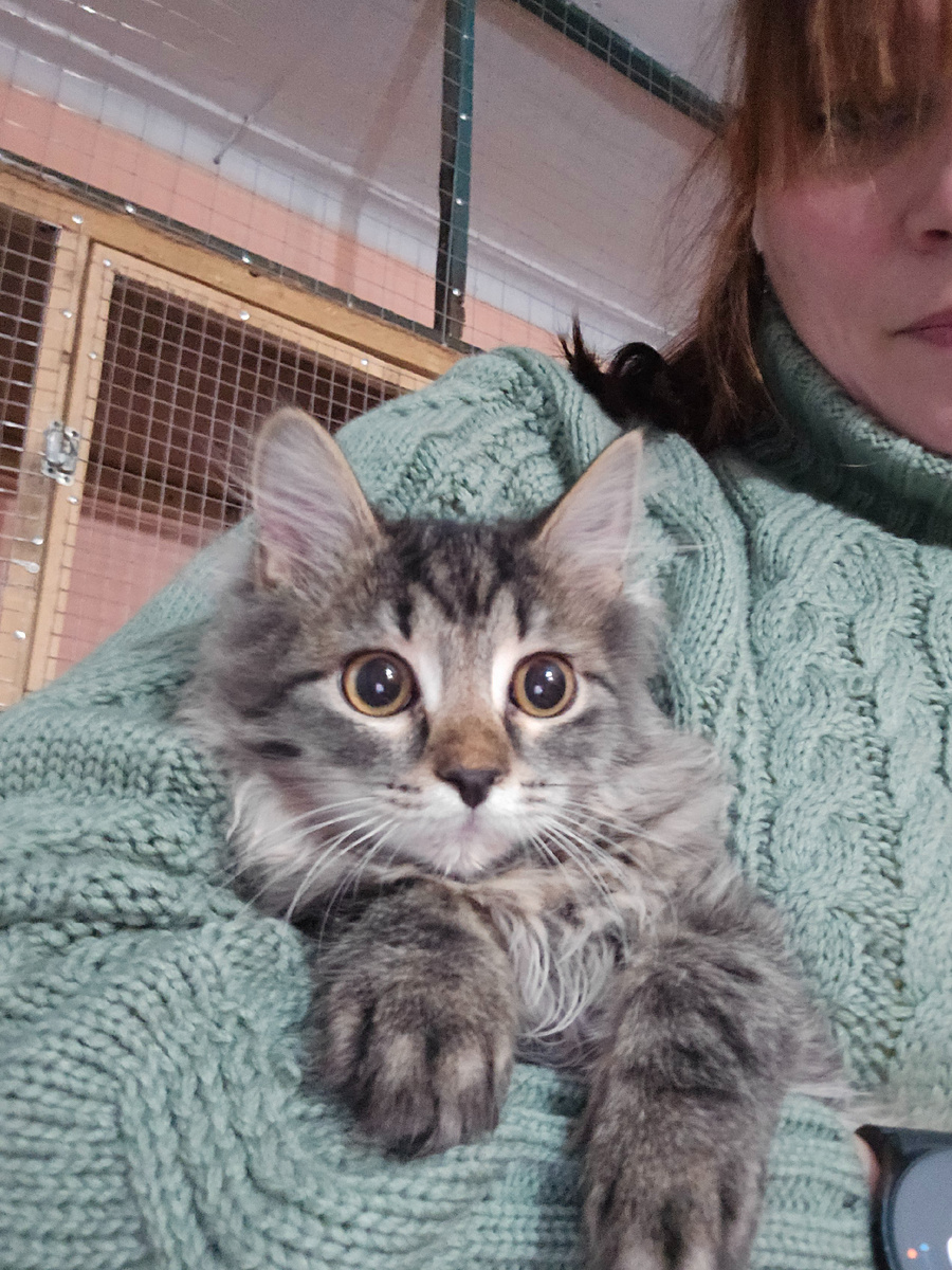 огромные глаза полные надежды в теплых руках