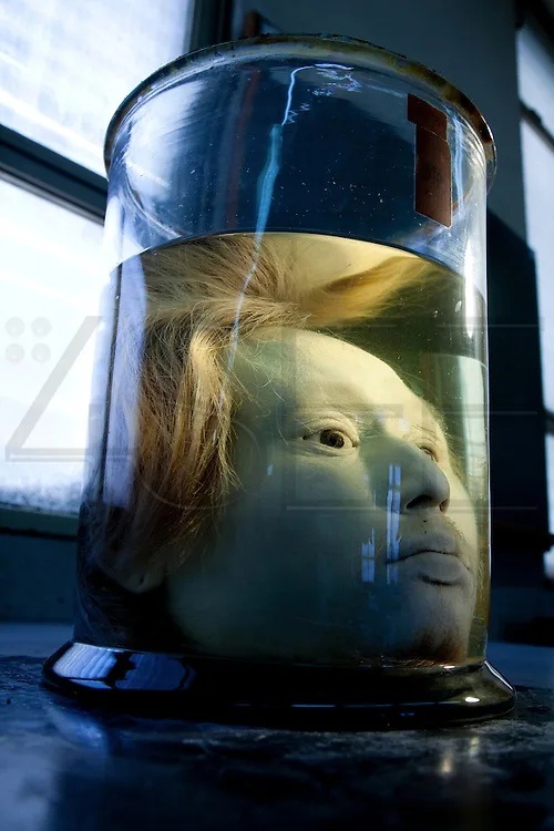 Фото из открытого источника