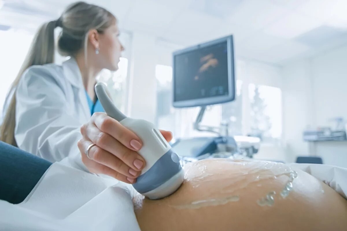    За первые три месяца 76 беременных студенток Кузбасса получили 6,2 млн руб.