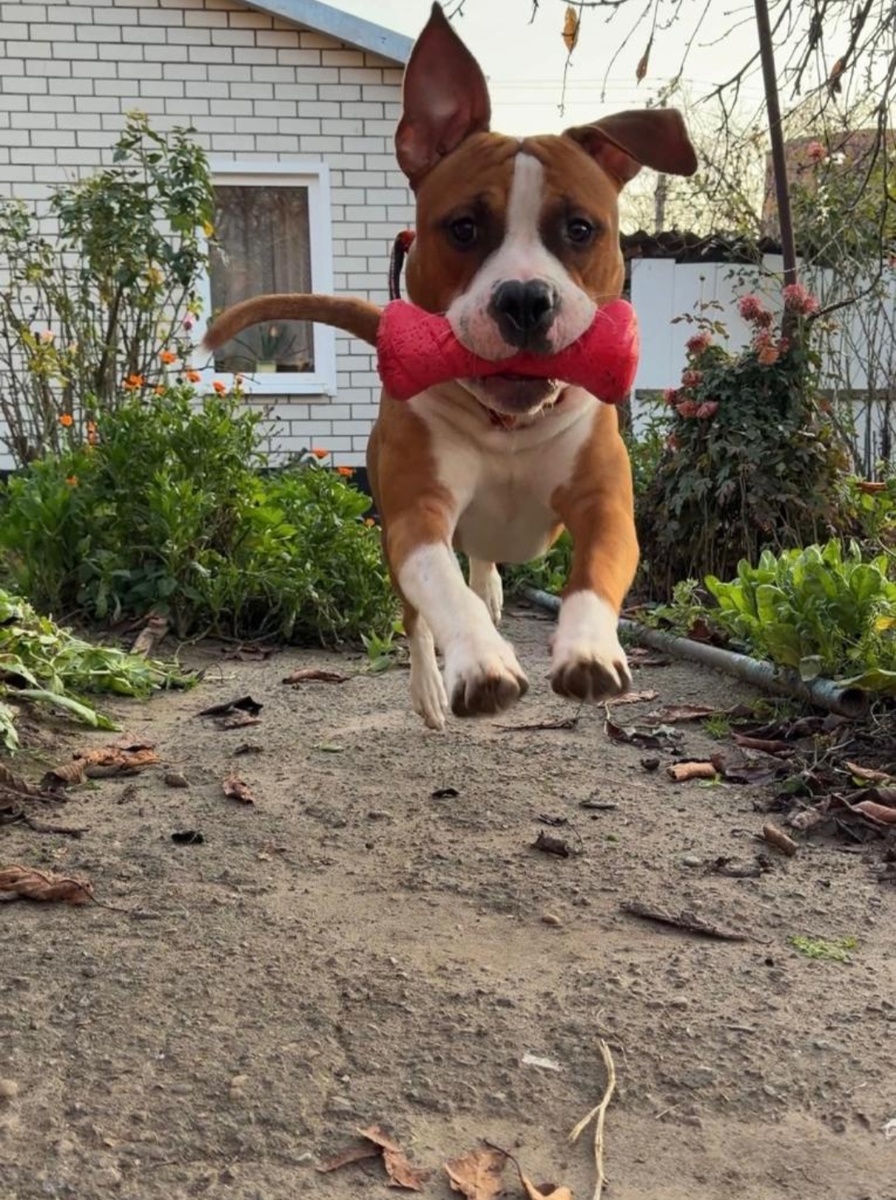 Влетаем в новый день .