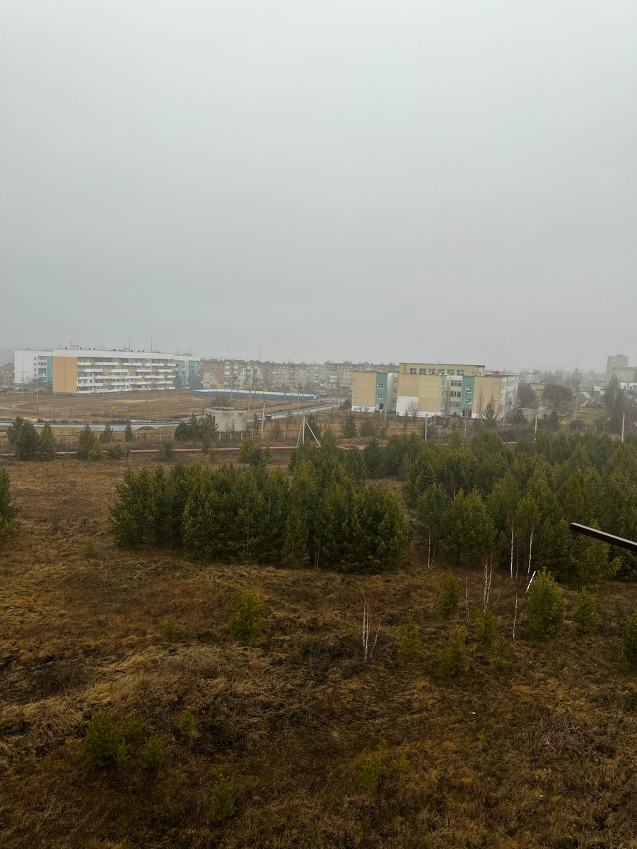 Вот такой унылый вид из окна(