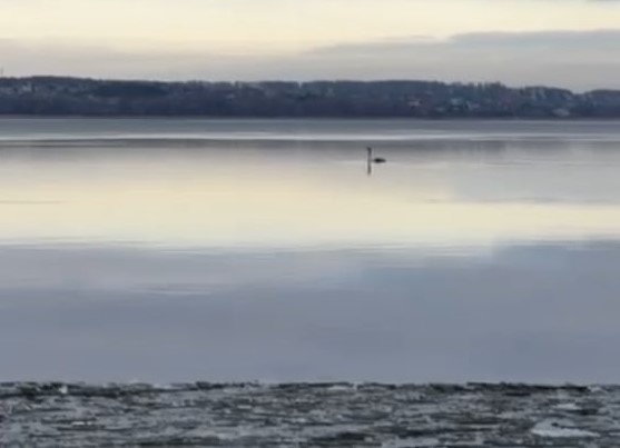     Фото: соцсети