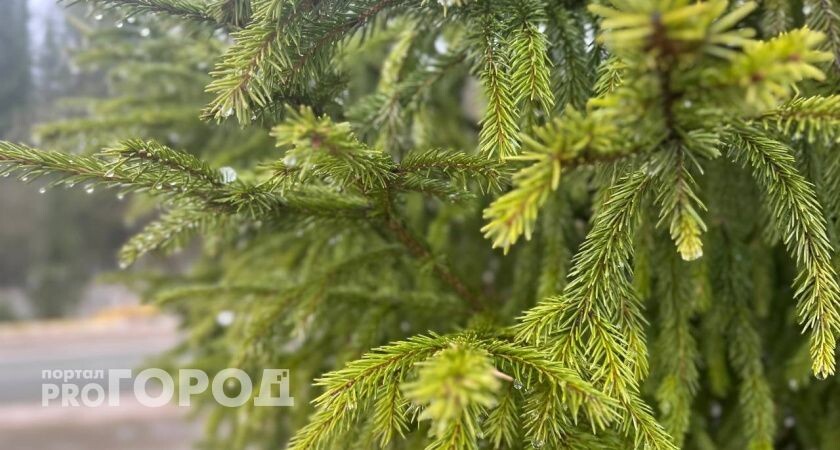    Фото "Про Город"