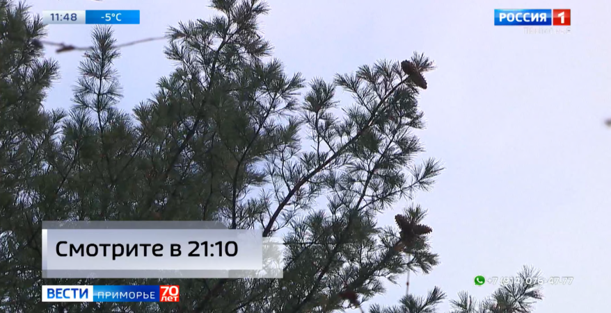    Источник фото: