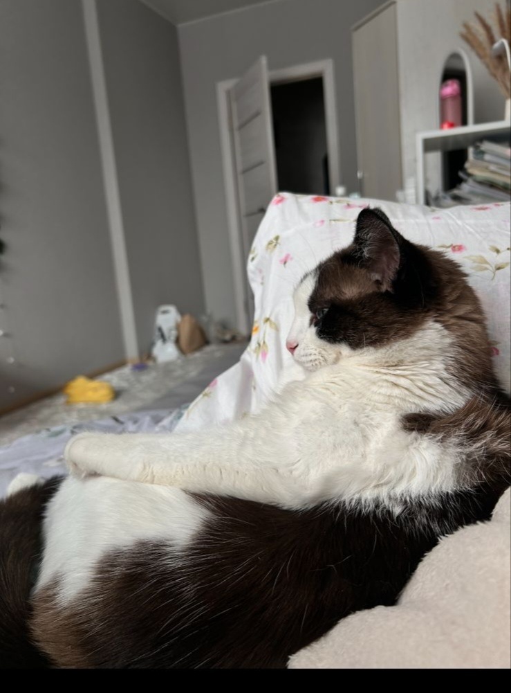 Фото автора