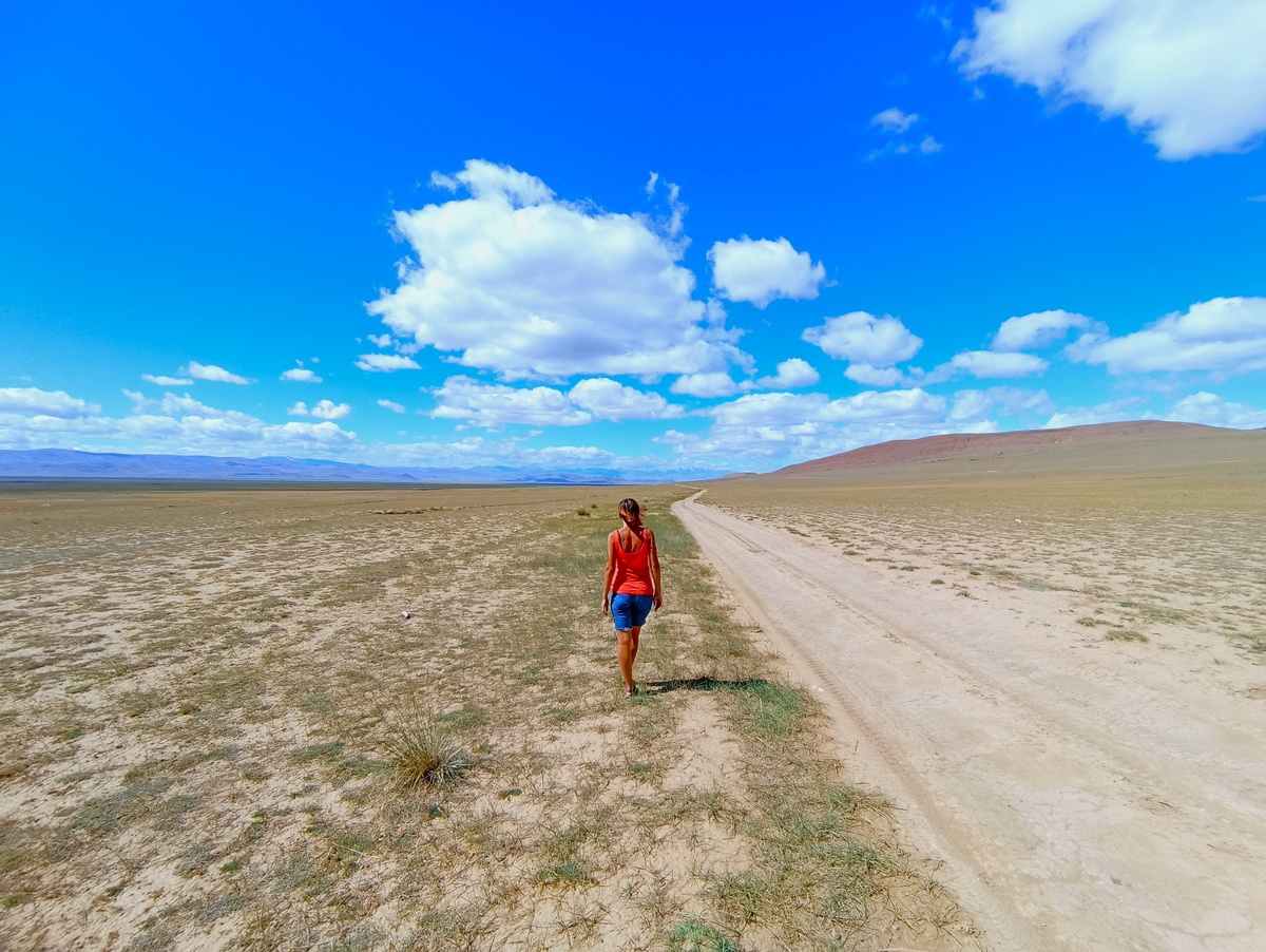 Северо-восток Чуйской степи, за селом Кокоря