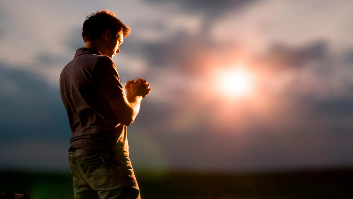 Фото из сети интернет. В открытом доступе.