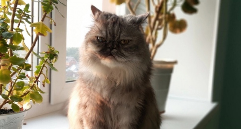    фото из архива редакции