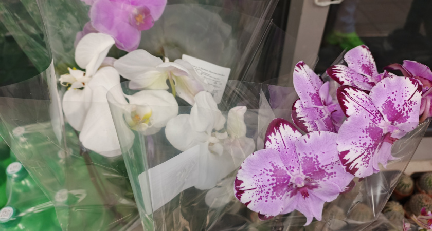    Фото irkutsk.news