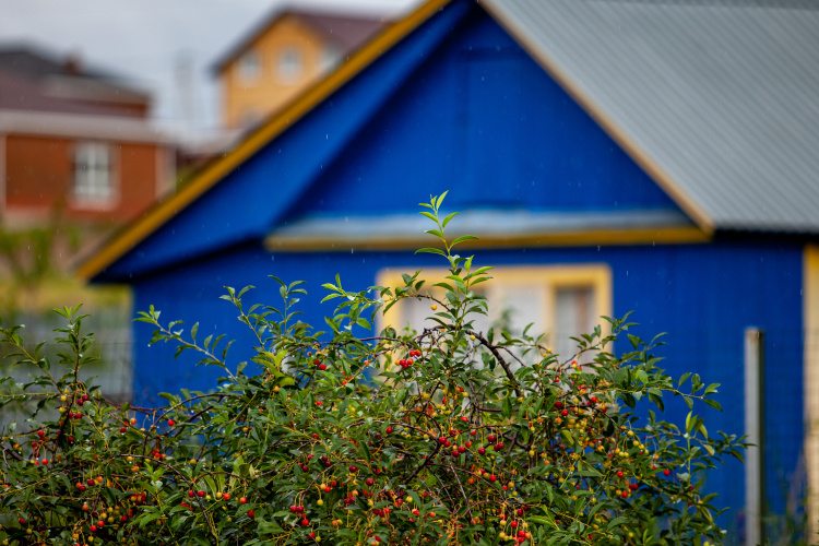    «Дачная амнистия» в свое время была очень хорошей и нужной инициативой, она помогла тысячам семей».   
Фото: «БИЗНЕС Online»