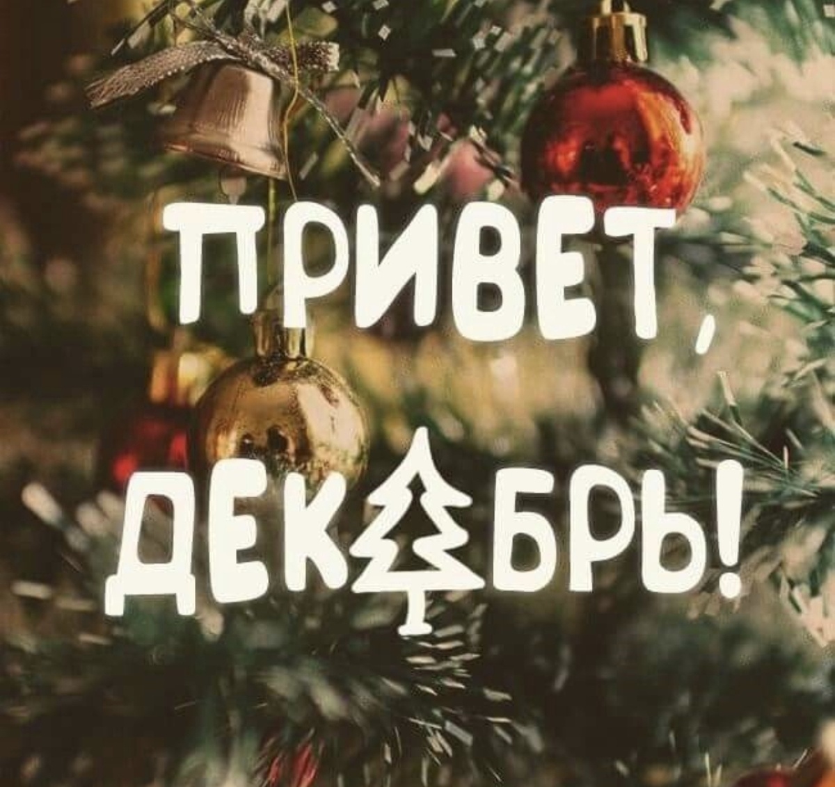 Личный скриншот автора канала