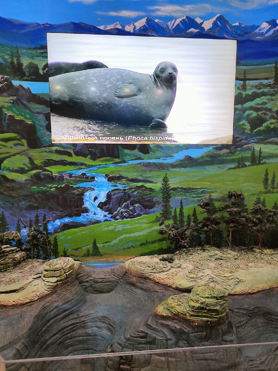 Музей Байкала, п. Листвянка. Фото 2022 года. 