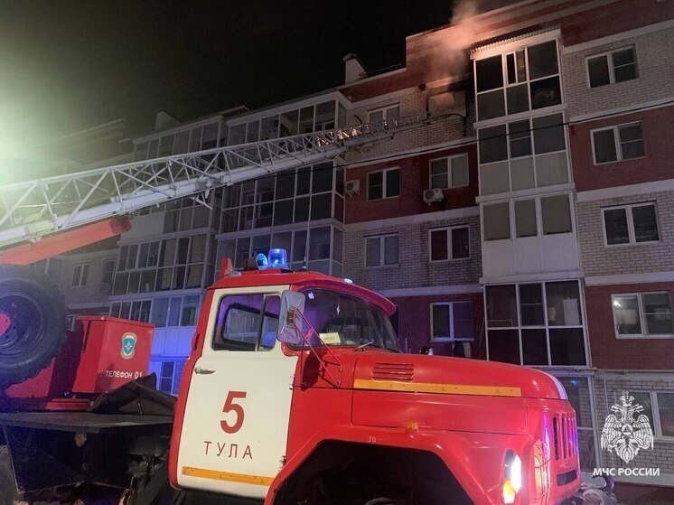     фото: УМЧС России по Тульской области