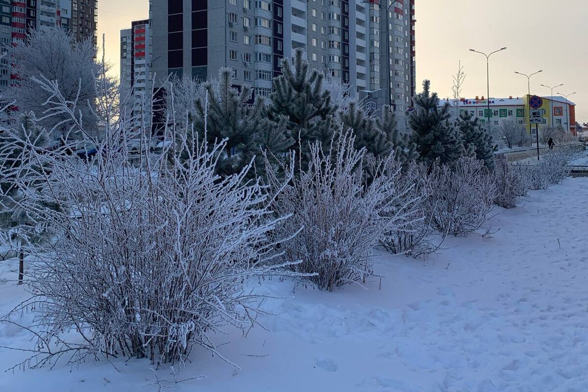Первые морозы придут в Прикамье в конце недели.  Фото: Фото: ФедералПресс / Ксения Чилимова