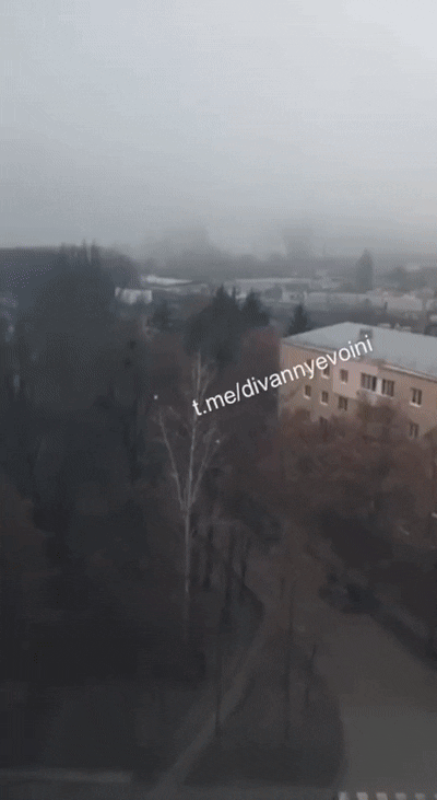    Видео: "Герань Цветущая"